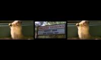 Thumbnail of free form jazz odyssey