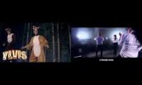 Thumbnail of What Does the Fox Say vs What Does the Cop Say