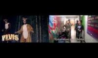 What Does the Fox Say vs What Does the Teacher Say