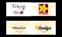 Thumbnail of 4 SLN! Media Group Logos V10