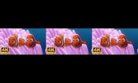 Thumbnail of finding nemo 60fps 50fps 48fps