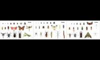 Insects 1,2, & 3 - Picure Play