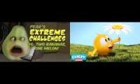 Pear reacts Wheres Chicky Flower v3