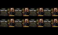 Thumbnail of multi view for youtube watch time to complete 4000 hours of watch time