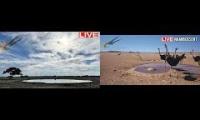 Thumbnail of Namibia Water hole cam