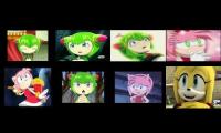 Thumbnail of Annoying Goose Amy Rose 1027 Edition