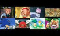 Thumbnail of Annoying Goose Totofan4ever Edition