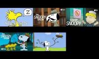 Thumbnail of Snoopy and Peanuts Five Video Comparison