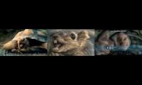 Thumbnail of Bridgestone scream 3 parison