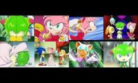 Thumbnail of Annoying Goose Sonic X Edition 9