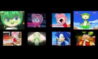 Thumbnail of Annoying Goose Sonic X Edition 12