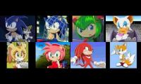 Thumbnail of Annoying Goose Sonic X Edition 24