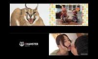 Thumbnail of Japanese Hot Kissing – Romantic Japan Movie Kissing Scene #78 | Passionate Love Scene