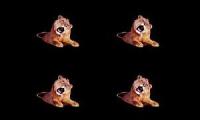 Thumbnail of All Of MGM Leo Roars Combined!
