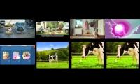 Thumbnail of Up to Faster 8 Parison