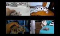 Thumbnail of Lucas, la araña - Hora de jugar Vs. Lucas, la araña Vs. Lucas, la araña Frio Vs. nuevo amigos