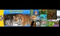 Thumbnail of Meet the animals same time