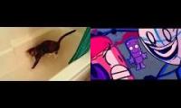 Thumbnail of ab and cat cuz yesssssssssssssssssssss