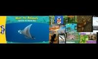 Thumbnail of Meet the animals epesode same time