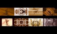Thumbnail of 8 Brown Gummy bears by krazygummy