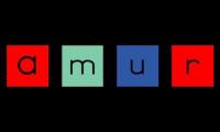 Thumbnail of Have Fun Teaching Word Amur