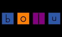 Thumbnail of Have Fun Teaching Word Bolu