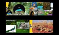 Thumbnail of Meet the animals epesode same time v4