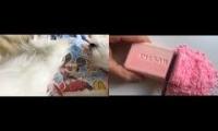 Thumbnail of Asmr Soap Cutting In Asmr Goodnites Diapers In From Asmr Soap Cutting In Asmr Goodnites Diapers In
