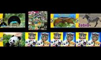 Thumbnail of Up to faster ??? Paridon