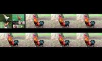 Thumbnail of Up to Faster 163 parison