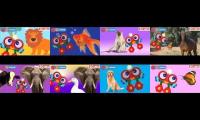 Thumbnail of ALL OF MY ANIMAL FRIENDS WITH ROBI EPISODES
