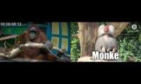 Thumbnail of Monke Civilize Speedrun & Monke Speedway
