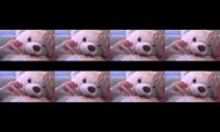 Thumbnail of oobi babies slap oobi 2
