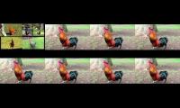 Thumbnail of up to faster 1200 parison to Hen & Rooster v9