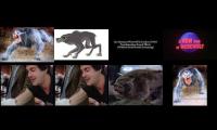 Thumbnail of An American Werewolf in London: Part Five of Five.
