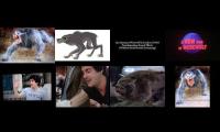 Thumbnail of An American Werewolf in London: Part Six of Six.